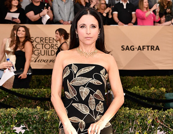 Julia Louis-Dreyfus from 2017 SAG Awards: Red Carpet Arrivals | E! News